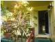 El Arish QLD 4855