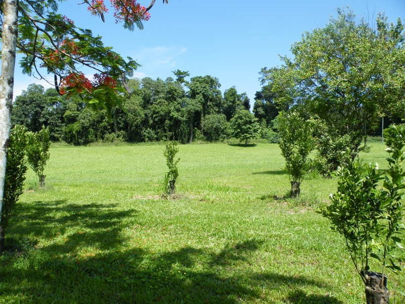 Murray Upper QLD 4854