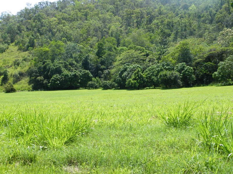 Murray Upper QLD 4854