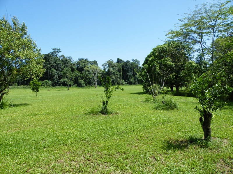 Murray Upper QLD 4854
