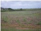 Lot 2 Bruce Highway, Cowley QLD 4871