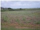 Lot 2 Bruce Highway, Cowley QLD 4871