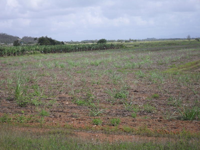 Lot 2 Bruce Highway, Cowley QLD 4871
