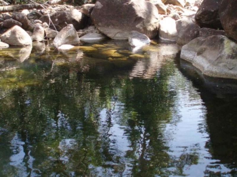 Jarra Creek QLD 4854