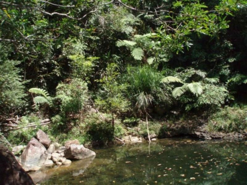 Jarra Creek QLD 4854