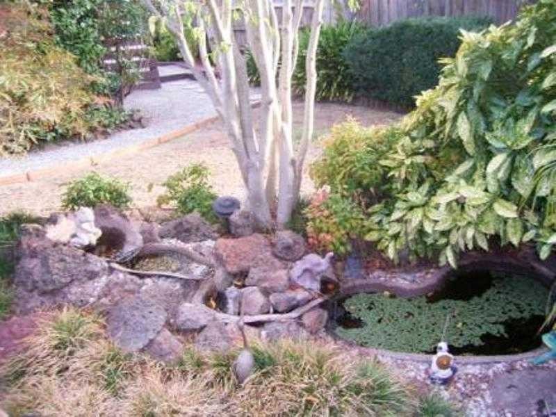 3 Elka Place, Frankston VIC 3199