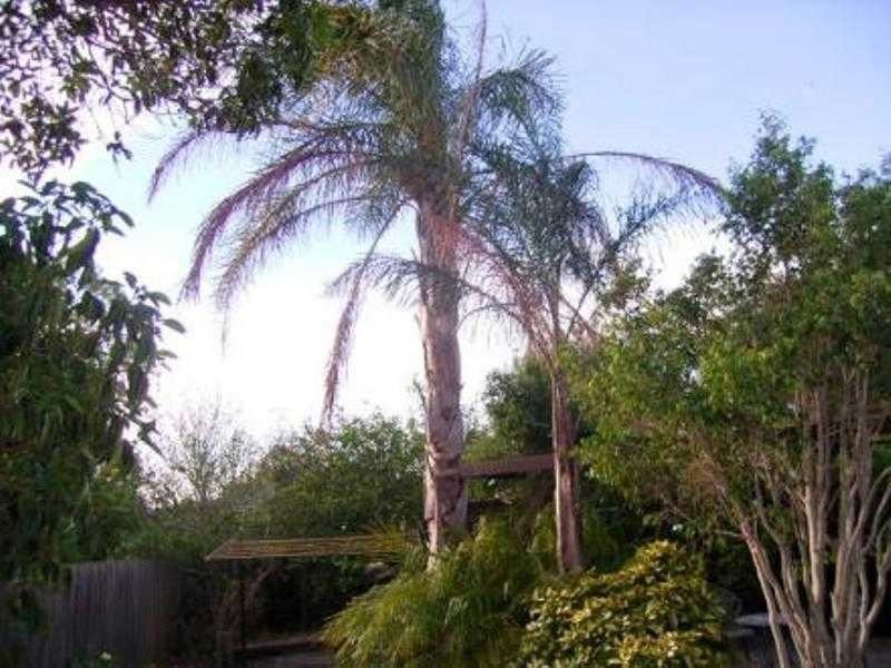 3 Elka Place, Frankston VIC 3199