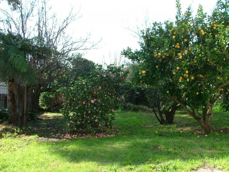 8 Woodlands Grove, Frankston South VIC 3199