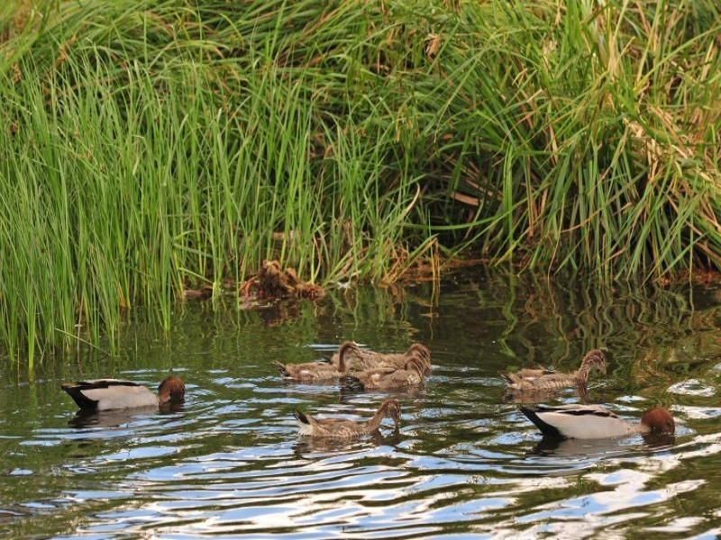 44 High Street, Frankston VIC 3199