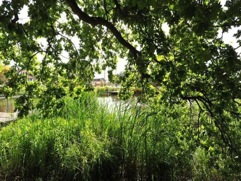 46 High Street, Frankston VIC 3199