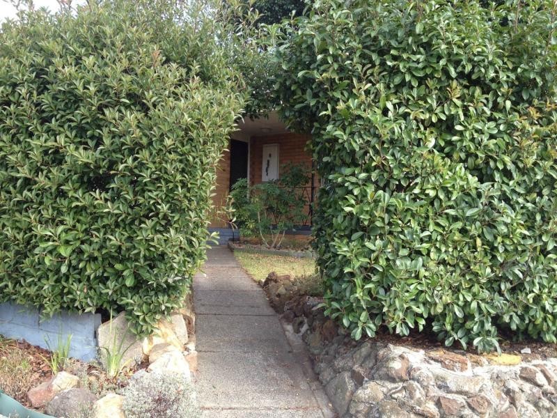 8 Bidgee Street, Frankston VIC 3199