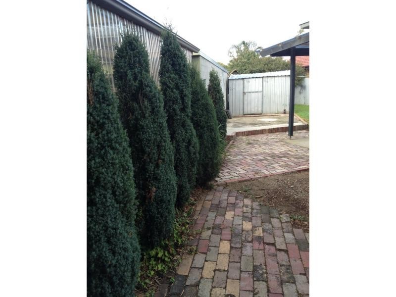 1 Bouvardia Crescent, Frankston North VIC 3200