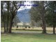 Tapitallee NSW 2540