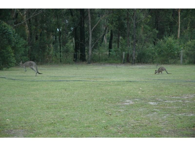 Falls Creek NSW 2540