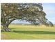 Milton NSW 2538