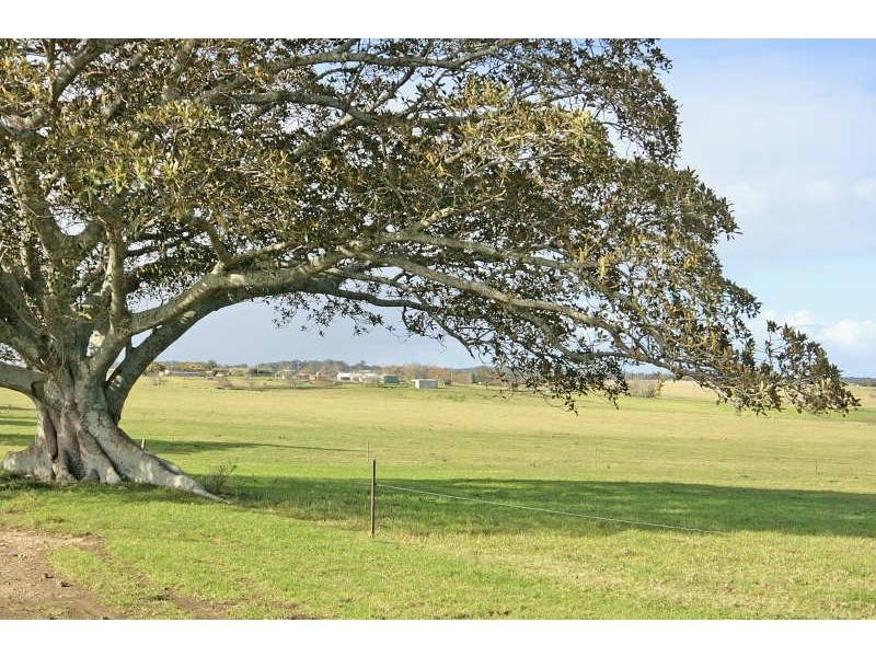 Milton NSW 2538