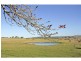 Milton NSW 2538