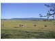 Milton NSW 2538