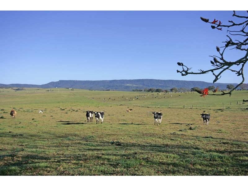 Milton NSW 2538
