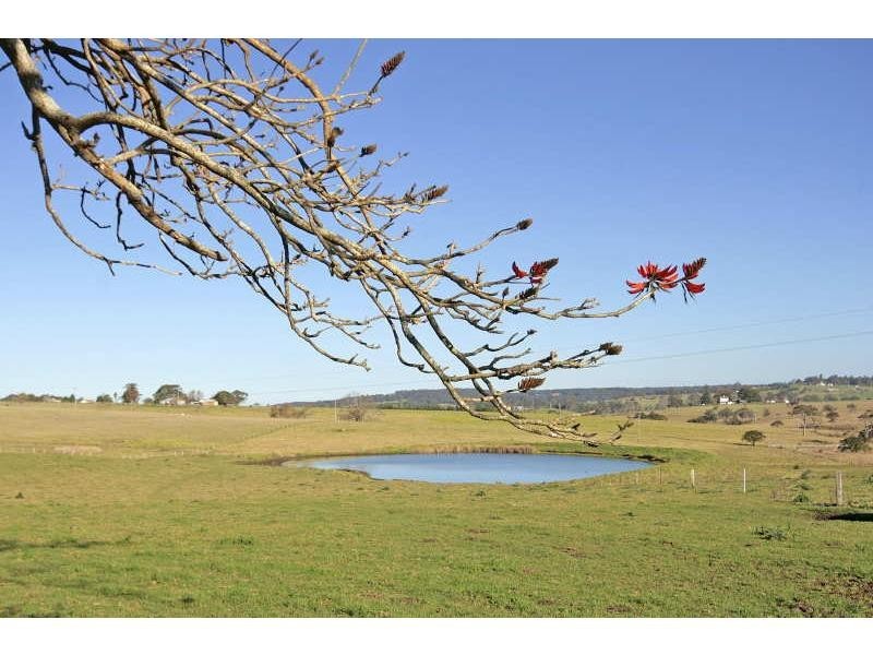 Milton NSW 2538