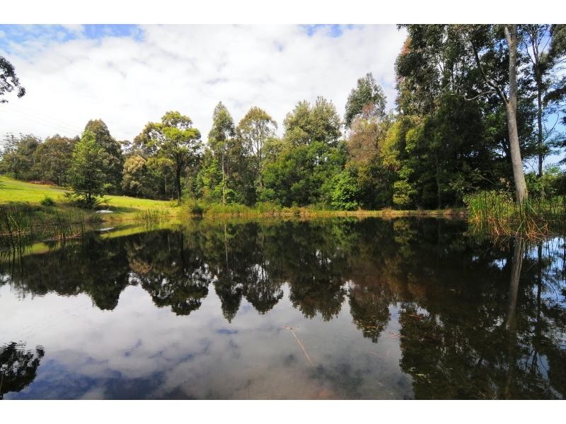 Lot 4 Princes Highway, Tomerong NSW 2540