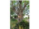 122 Moss Street, Nowra NSW 2541