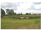 31 Bluewattle Road, Worrigee NSW 2540
