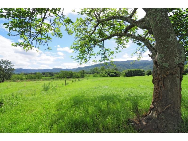 98 Main Road, Cambewarra NSW 2540