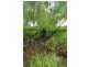 98 Main Road, Cambewarra NSW 2540