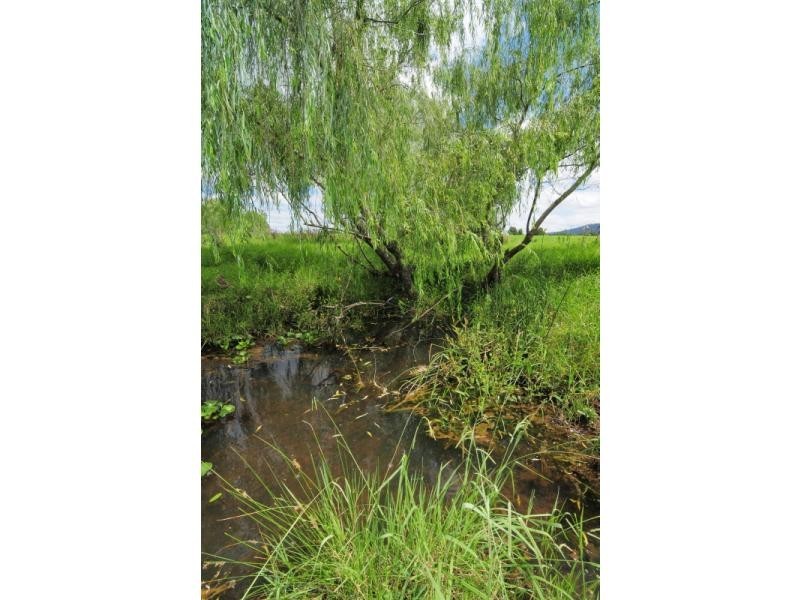 98 Main Road, Cambewarra NSW 2540