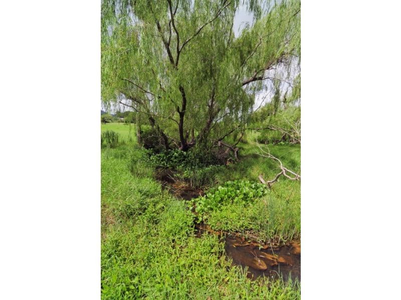 98 Main Road, Cambewarra NSW 2540