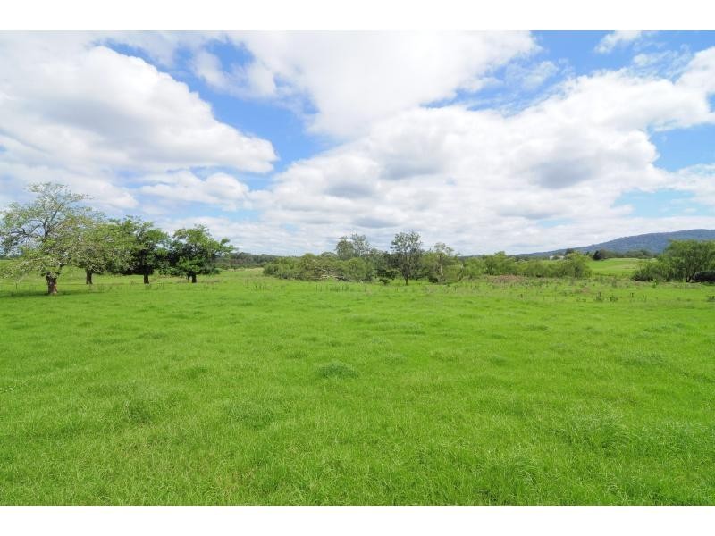 98 Main Road, Cambewarra NSW 2540