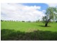 98 Main Road, Cambewarra NSW 2540