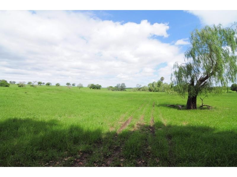 98 Main Road, Cambewarra NSW 2540