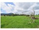98 Main Road, Cambewarra NSW 2540
