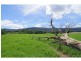 98 Main Road, Cambewarra NSW 2540