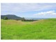 167 Carrington Road, Berry NSW 2535