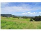 167 Carrington Road, Berry NSW 2535