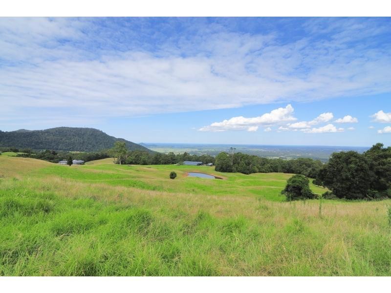 167 Carrington Road, Berry NSW 2535