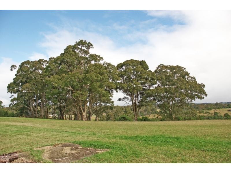 8c Parma Road, Falls Creek NSW 2540