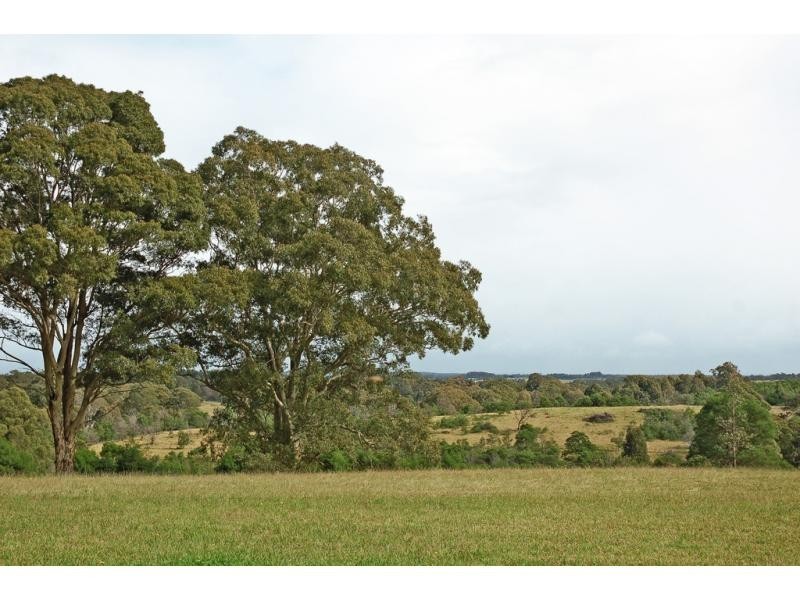 8c Parma Road, Falls Creek NSW 2540