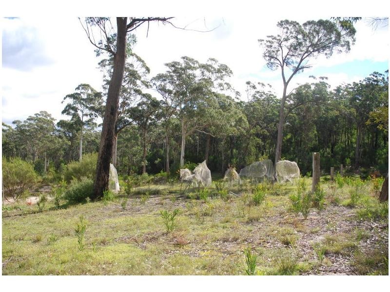 29 Gretas Road, Sassafras NSW 2622