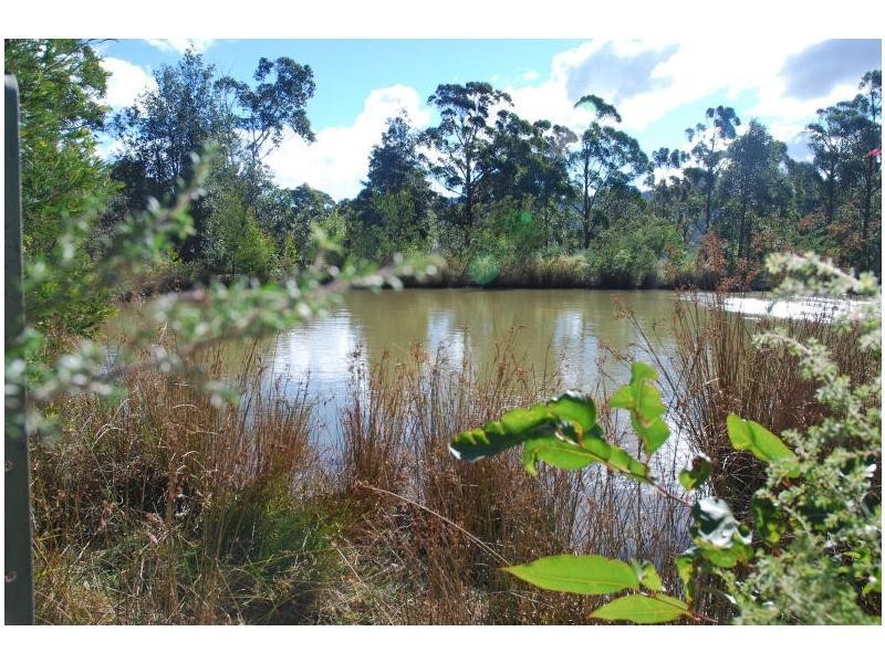 Lot 312 Wandean Road, Wandandian NSW 2540