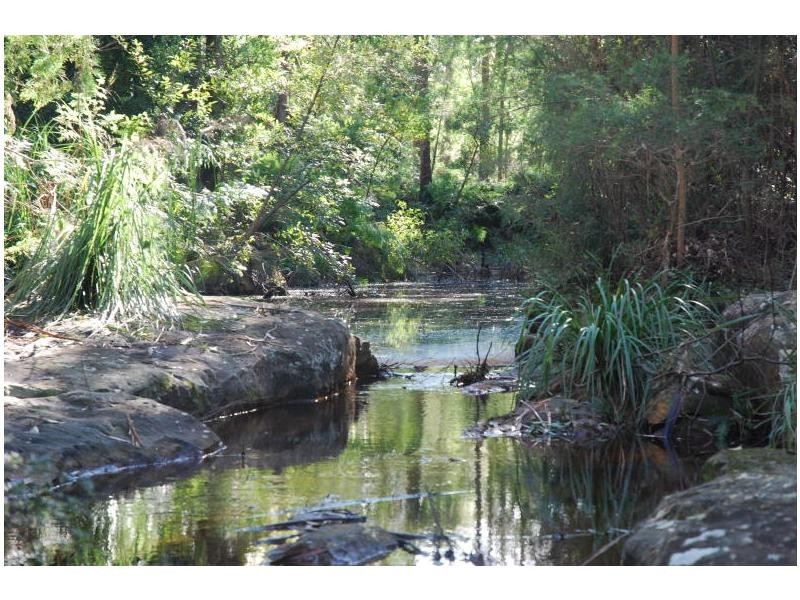 Lot 312 Wandean Road, Wandandian NSW 2540