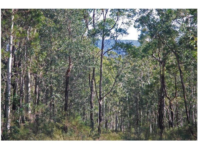 Lot 311 Wandean Road, Wandandian NSW 2540