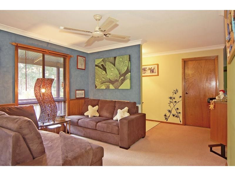 D1039 Princes Highway, Falls Creek NSW 2540