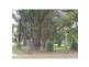 184 Illaroo Road, North Nowra NSW 2541