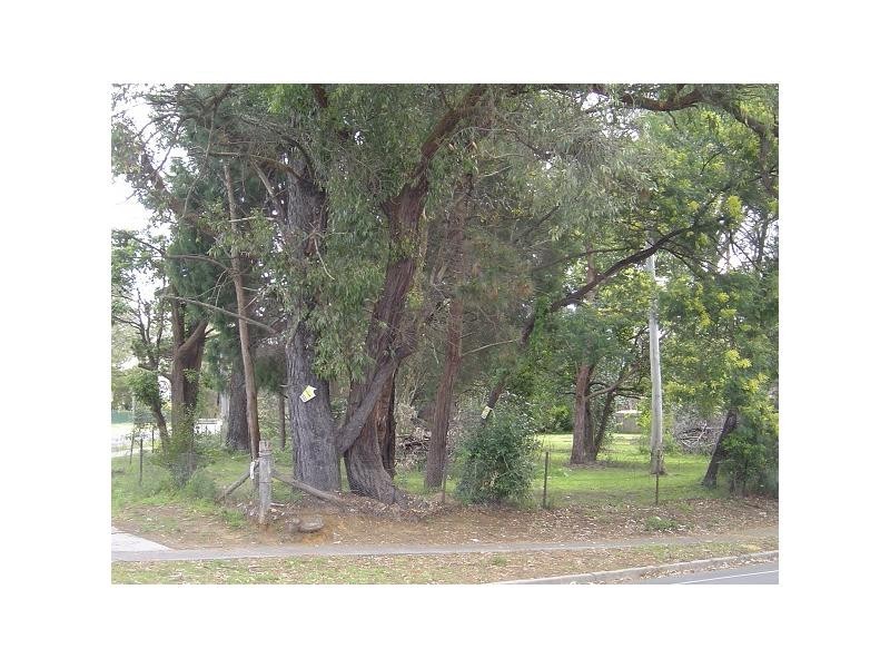 184 Illaroo Road, North Nowra NSW 2541