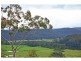 85 Longreach Road, Bamarang NSW 2540