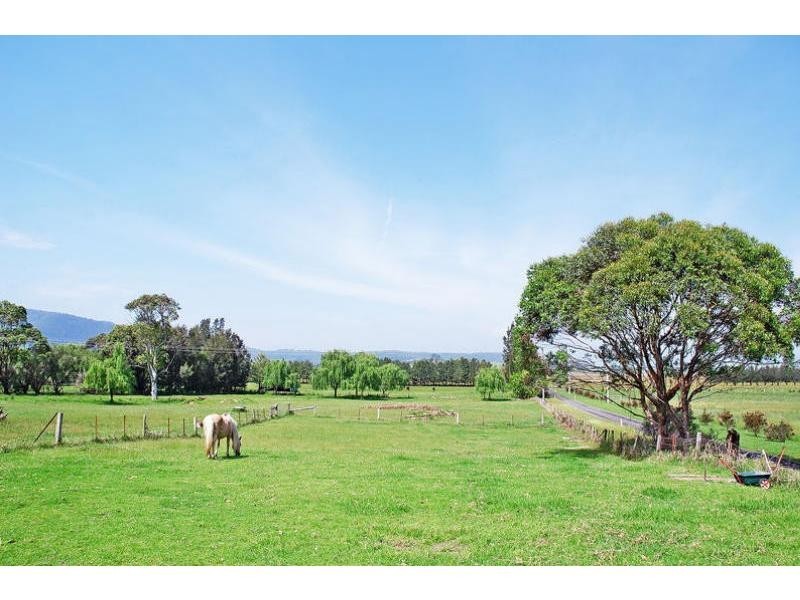 469 Coolangatta Road, Berry NSW 2535